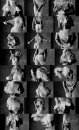 arte_nude-14