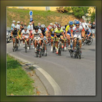 foto sportive