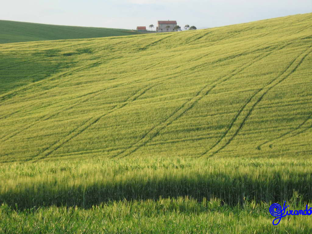 colline-15