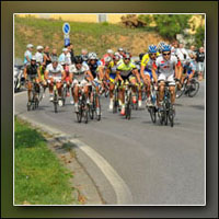 foto sportive